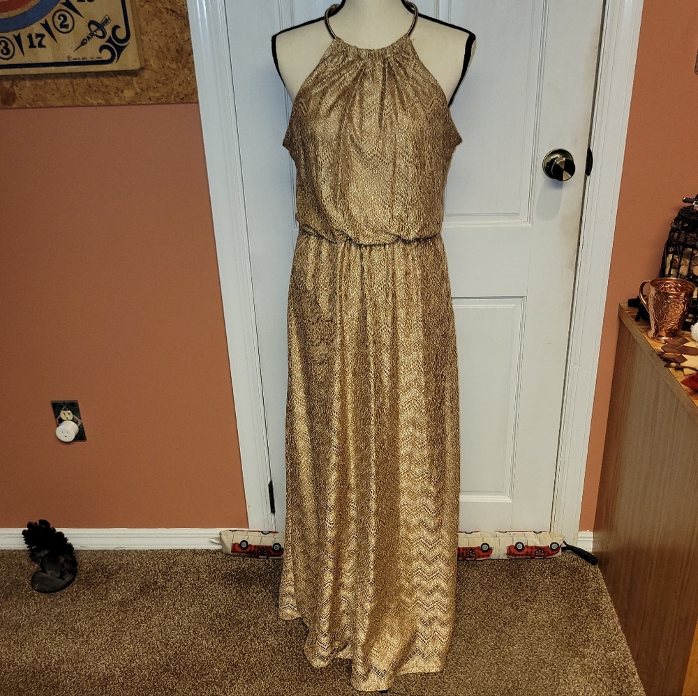 Bisou Bisou Shimmering Gold Maxi Dress